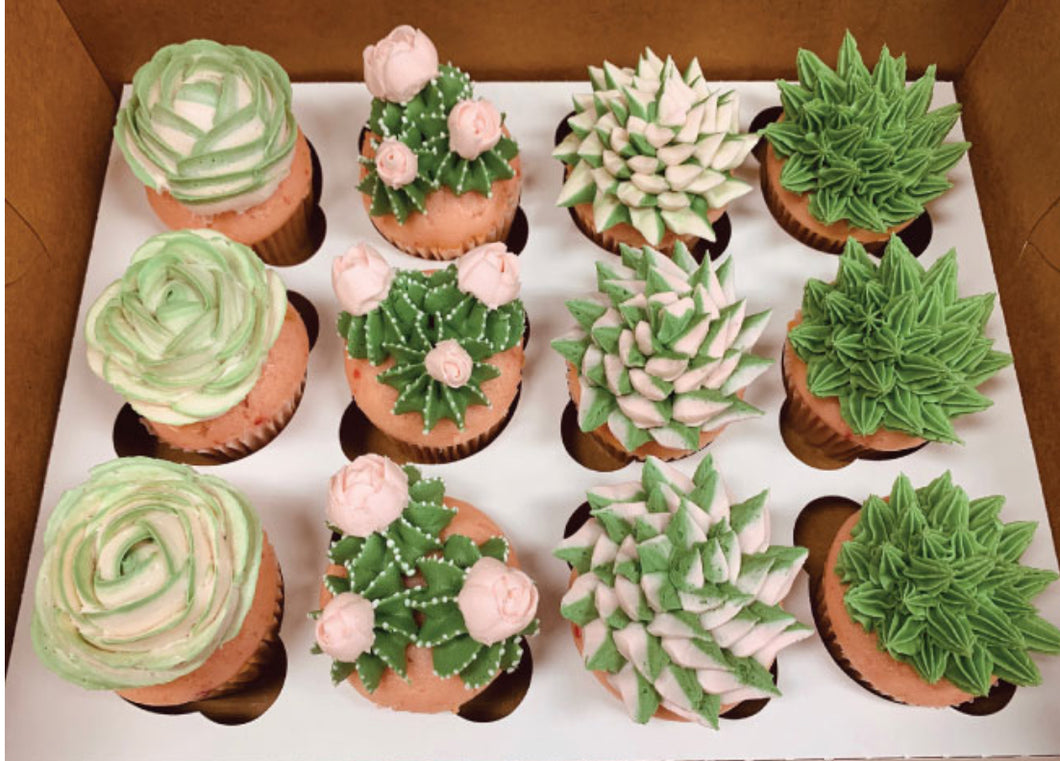 Succulent Cupcakes